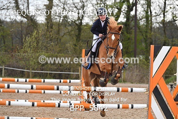 BPP_5842 - CLASS 24 SUN Senior British Novice/ 90cm Open