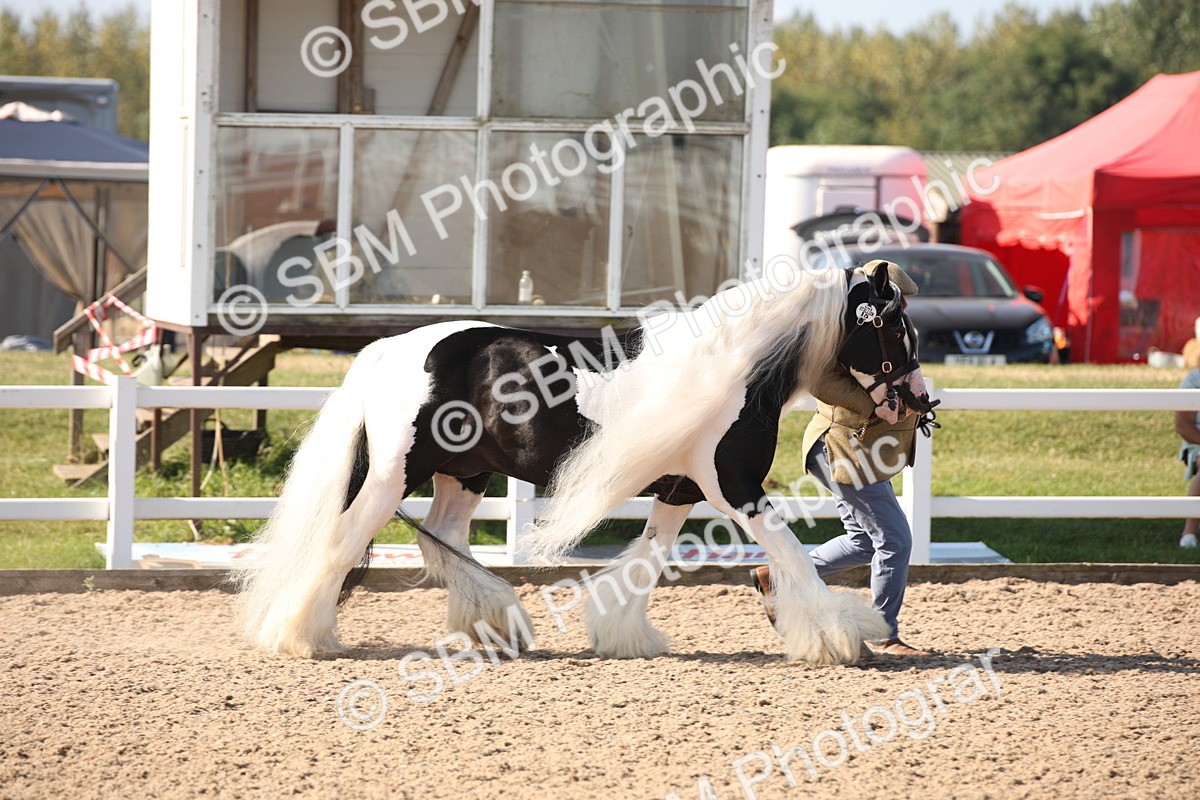 SBM_01482 - Class 15 IH Coloured