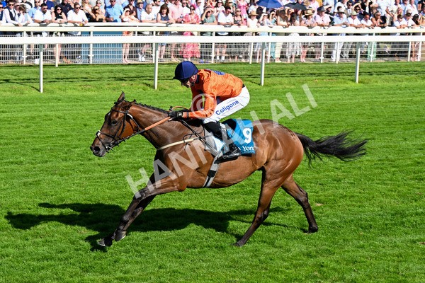 120725-Race 6-Terrorise-0509 - Race 6 4.45pm John Smith's Stayers' Handicap