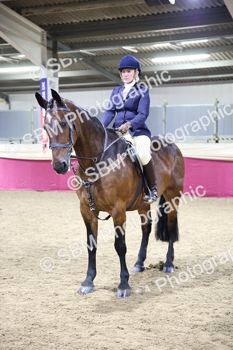 5K7A1612 - Class R Working Veteran Champ