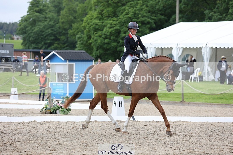 240523-150527-03026 - 233-SILVESTERS_FINESSE-Rosalind_Canter
