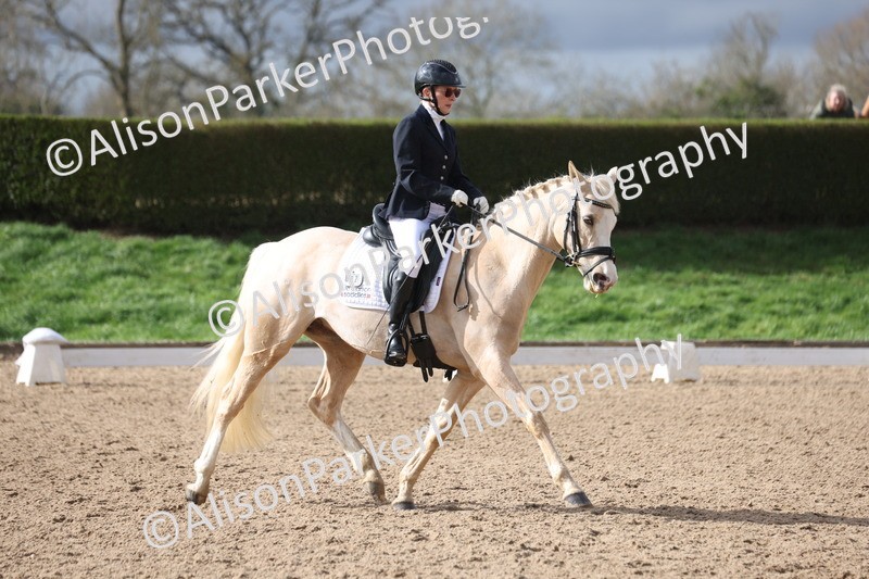 20260301-0648 - Class 4 - Novice 5