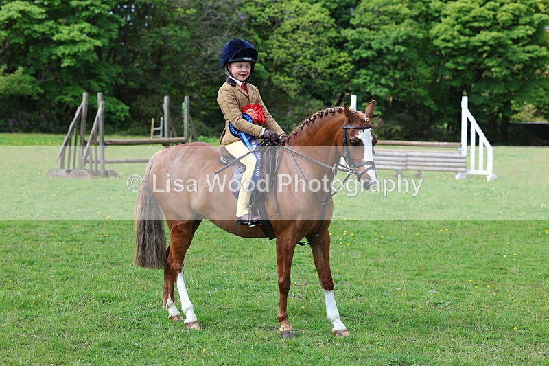 3E7A2767 - Working Hunter Championship