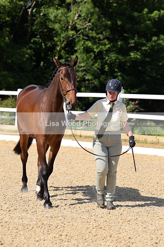 1X9A0790 - Class 4: Youngstock 1, 2, 3 year old to exceed 153cm