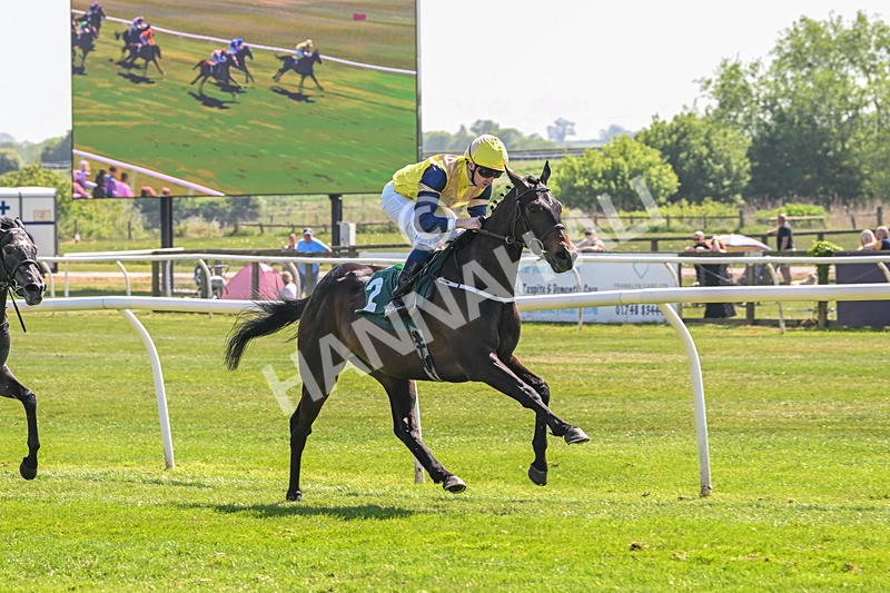 120525-Race 2-Far Ahead-8300 - Race 2