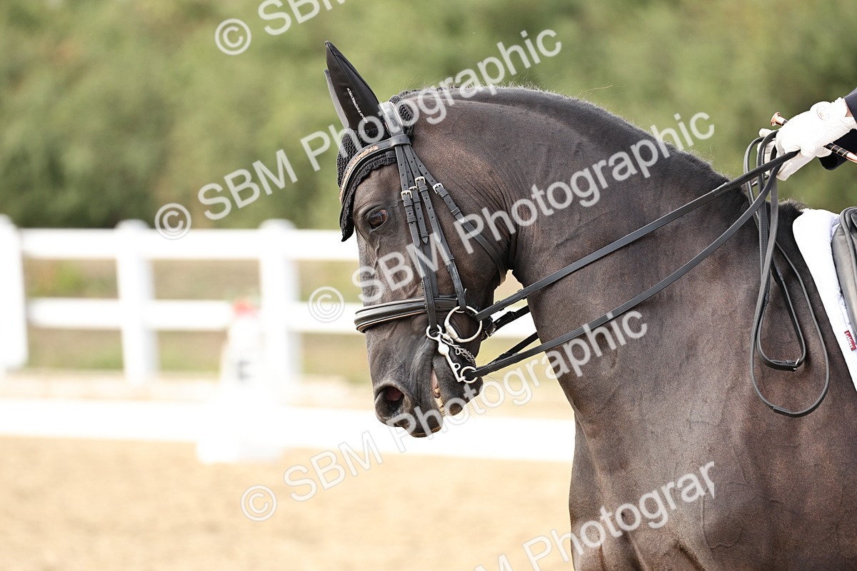 SBM_016288 - Class 10 - Advanced Medium 5