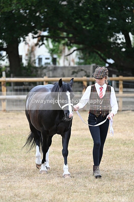 WJ7_8078 - Class 4 Prettiest Mare up to 14.2hh