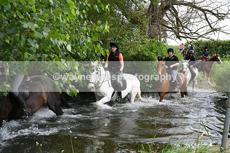 WJ7_2420 - Camera 2 Water Crossing