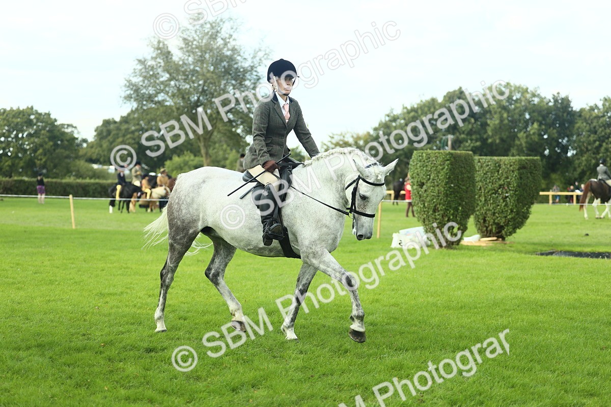 SBM_50663 - S33 - Working Hunter & Working Show Horse