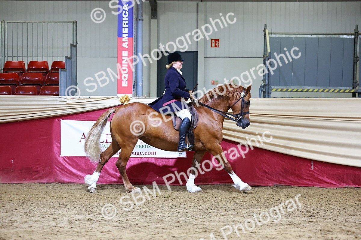 SBM_23587 - class 906 - Supreme Final - Ridden Pre Vet