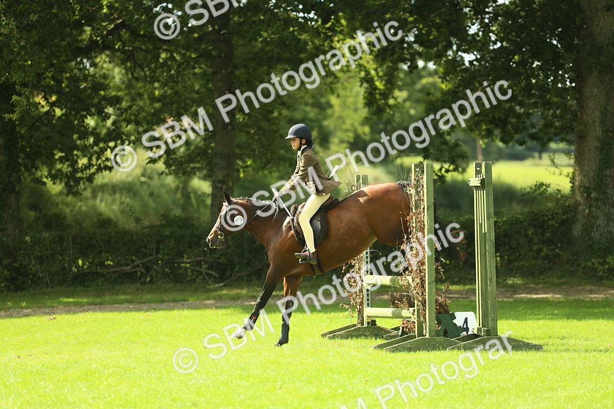 SBM_44592 - S31 - Working Hunter Pony