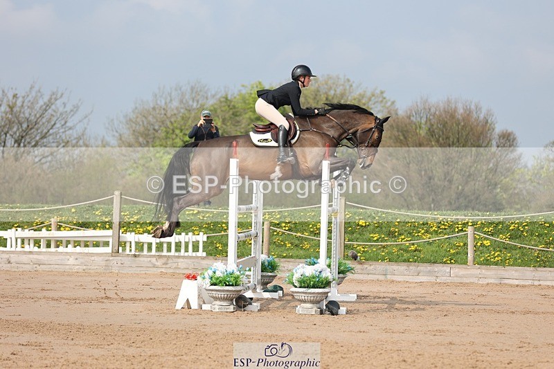 250424-102631-03014 - Cls 33 Young Horse 7yr old