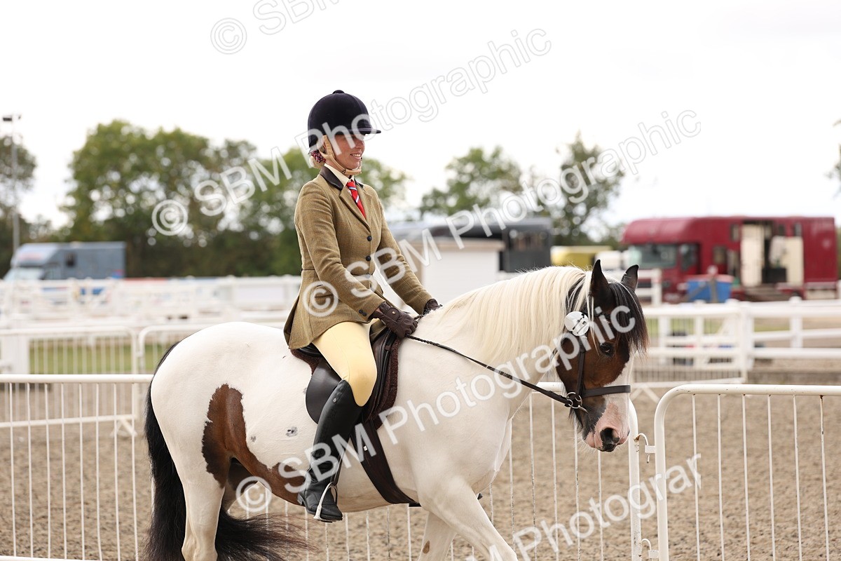 SBM_04176 - Class 54 - Riding Club Horse/Pony