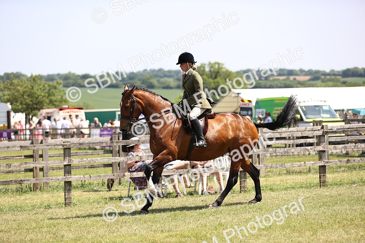 SBM_15083 - Class 79-80 - LIHS BSHA Rising Star Ridden Hunter