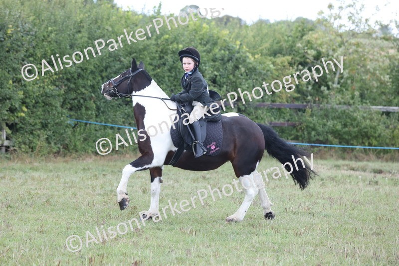 20250831-4277 - Class 20 - Ridden Coloured