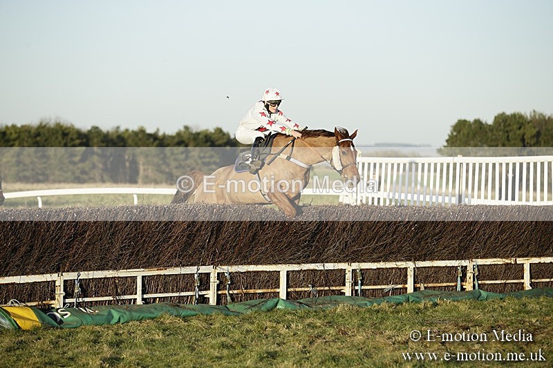 PtP 070118 -713 - Larkhill Racing Club Point to Point Larkhill 07/01/2018