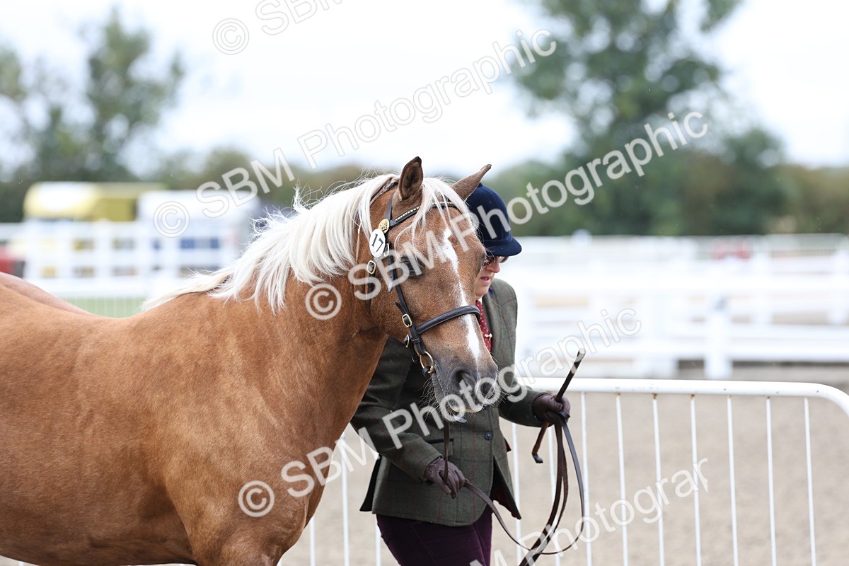 SBM_00025 - Class 50 - Best Turned Out IH