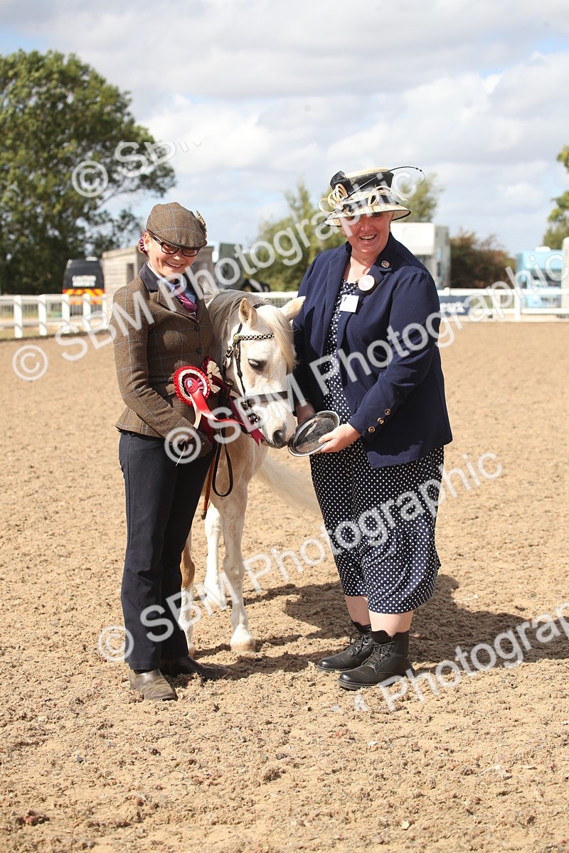 SBM_23475 - Class 604 - 2026 - Area IH Diamond