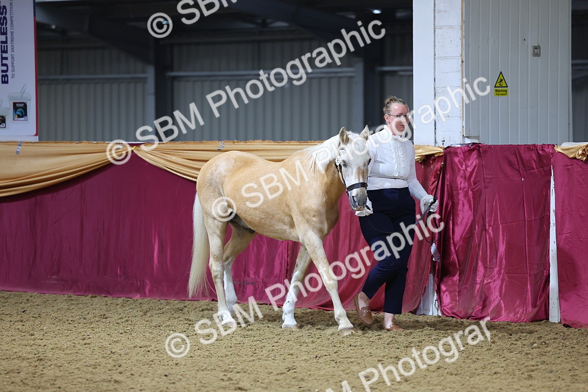 SBM_19333 - Class 901 - Supreme Final - IH Diamond