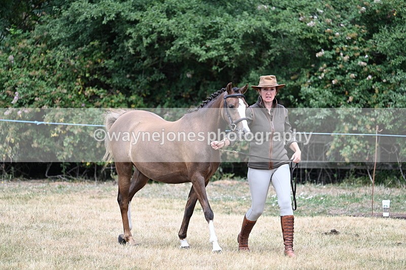 WJ7_1522 - Class 4 Prettiest Mare up to 14.2hh in hand