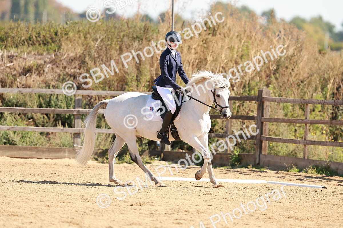 SBM_010520 - Class 4 - Prelim 3