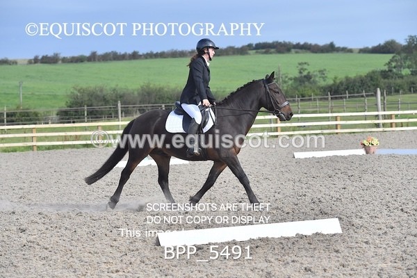 BPP_5491 - INTRO TEST 3