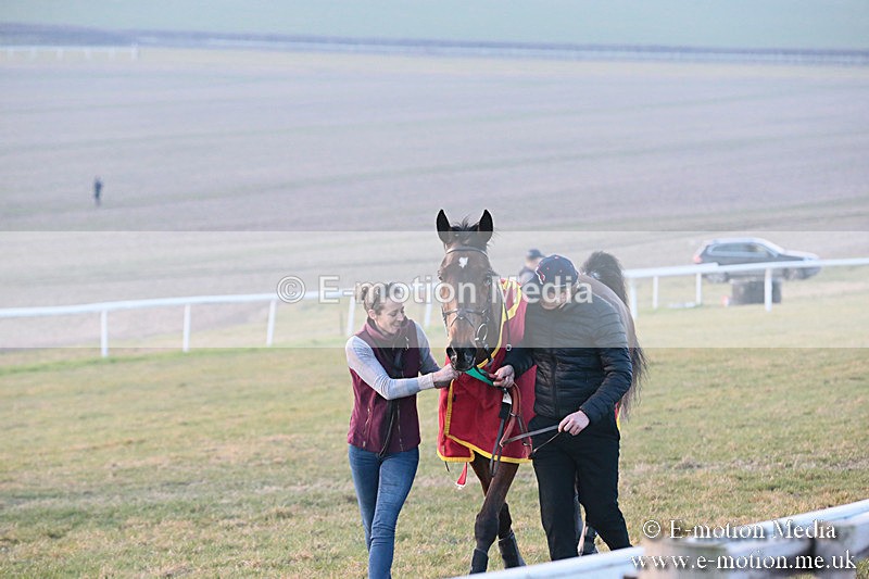 PtP 230219 659 - Vine & Craven Point-To-Point - Barbury 23/02/19
