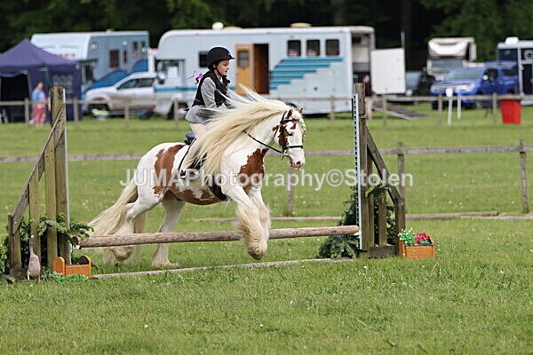 IMG_2446 - Working Hunter