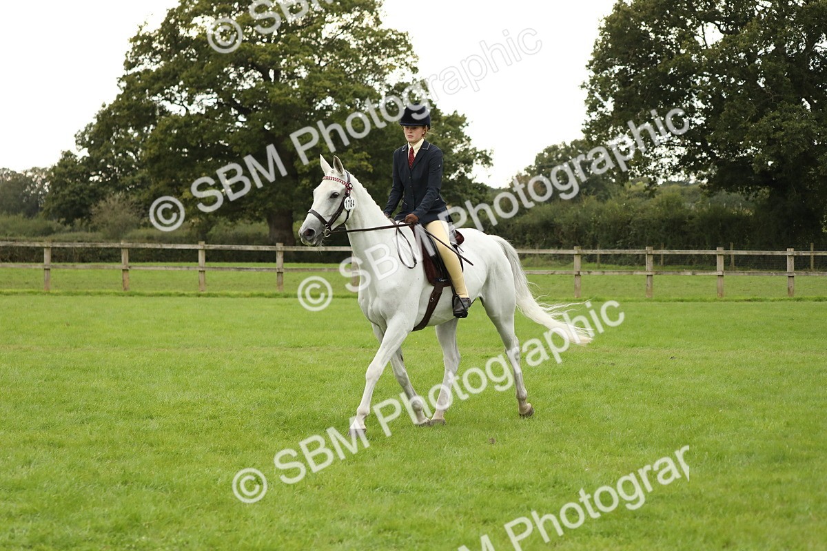 SBM_73767 - S41 - Ridden Equitation (Best Rider)