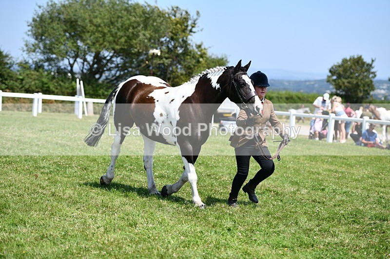 DSC_7740 - Class 64: Coloured Pony 4yrs & over