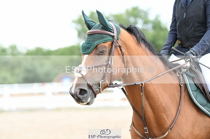 250803-090919-11741 - Cls 31 a&b British Novice & 90cm Open