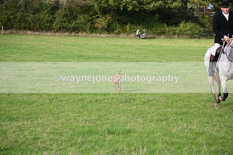 WJ6_5558 - Camera 1