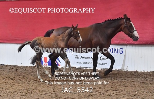 JAC_5542 - 13 Zi Real McCoy