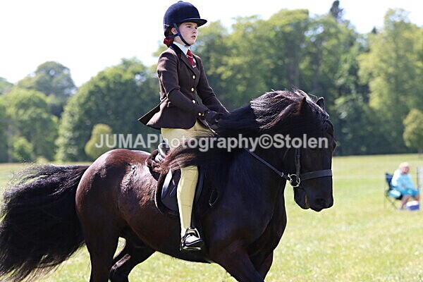 IMG_4393 - Working Hunter