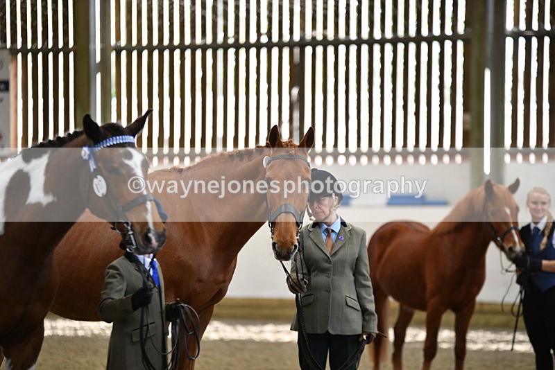 WJ5_4091 - Class 2 Best Condition In hand