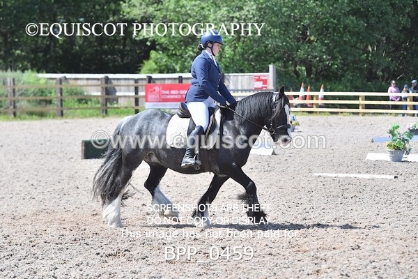 BPP_0459 - MFS NOVICE