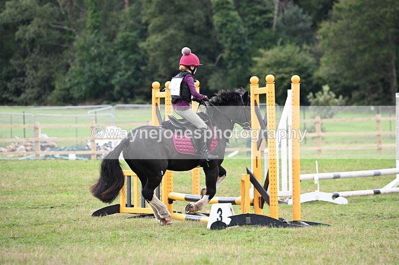 WJ6_0173 - 40cm Time 10:00 to 10:28