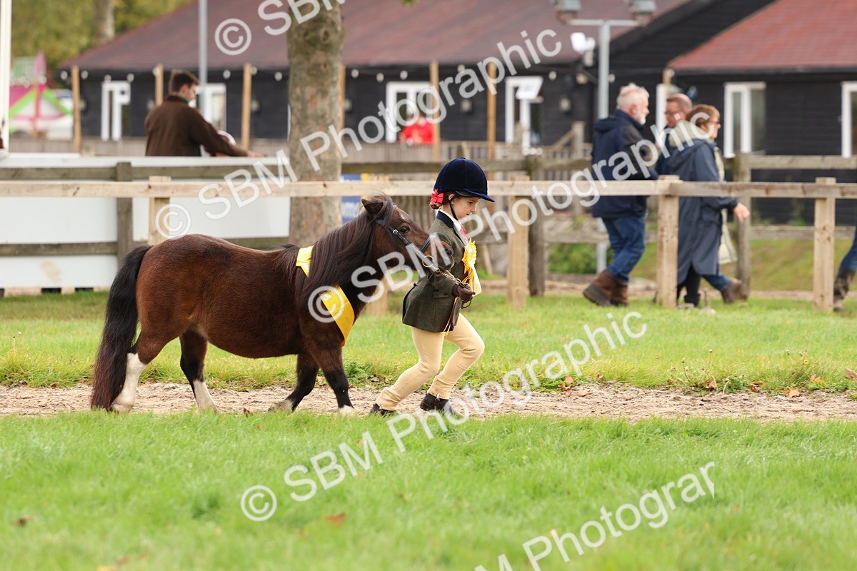 SBM_59755 - Start Supreme Championship