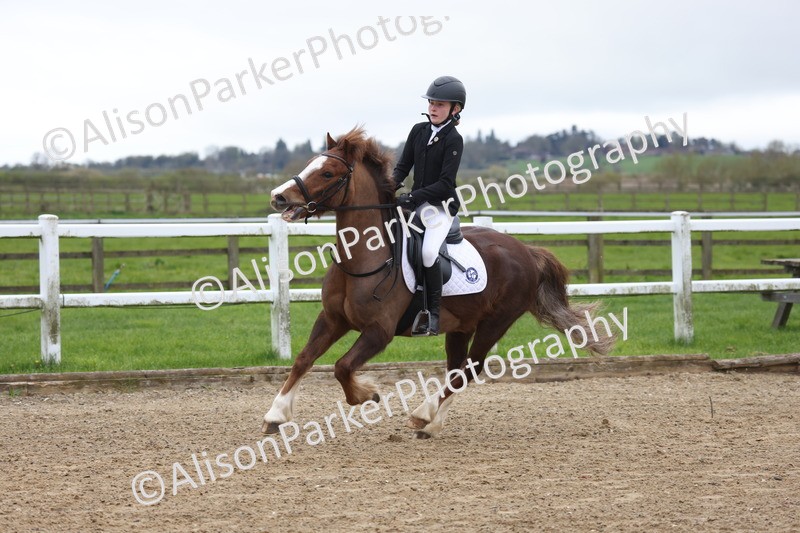 20260403-0319 - Class 2 - 50cm