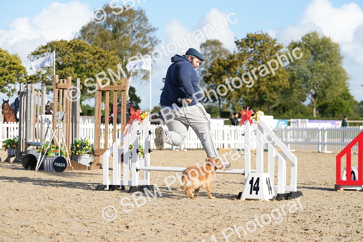 SBM_28988 - J43 - Horse & Hound Open 50cm