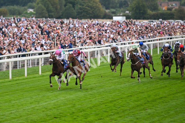 230825-Race 2-Tarriance-9991 - Race 2 2.25pm Sky Bet Melrose Handicap