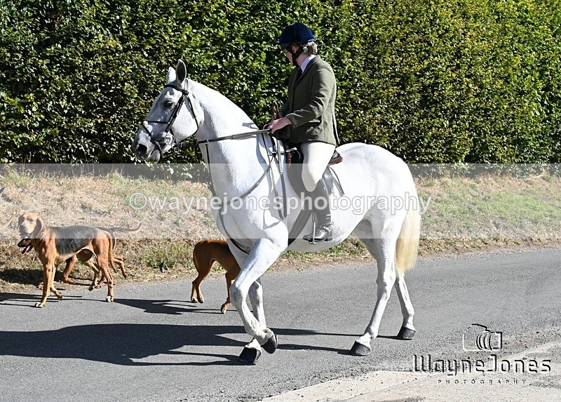 WJ7_0354 - Berks & Bucks - Hound Exercise – Kennels 06-09-26