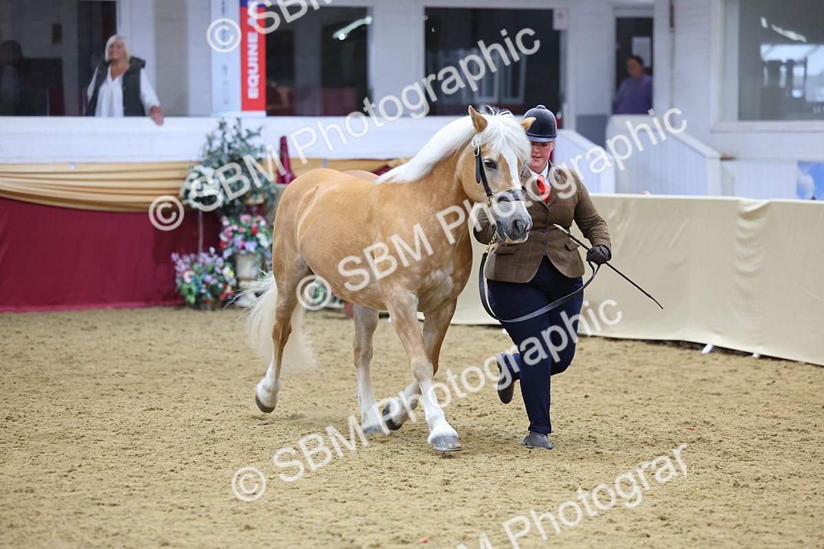 SBM_21077 - Class 902 - Supreme Final IH Veteran