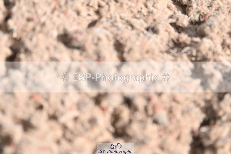 240622A-102216-08178 - Cls 28 BD Music Novice