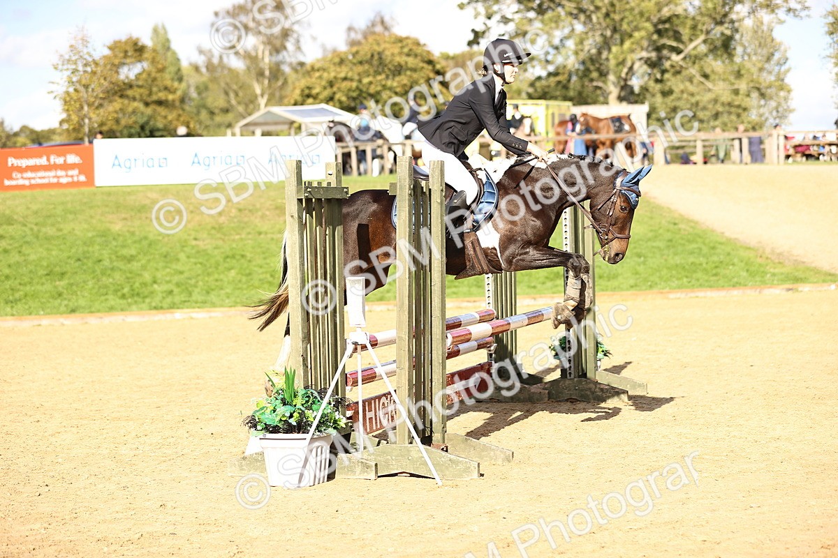 SBM_51339 - J10 - Junior Pony 75cm Championship