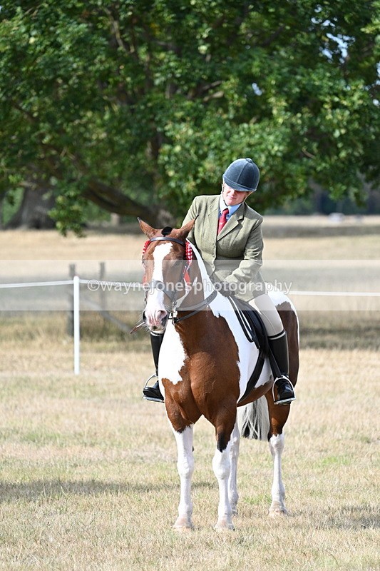 WJ7_7862 - Ridden Championship