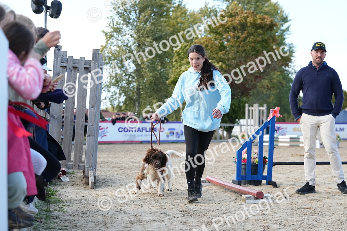 SBM_29152 - J43 - Horse & Hound Open 50cm