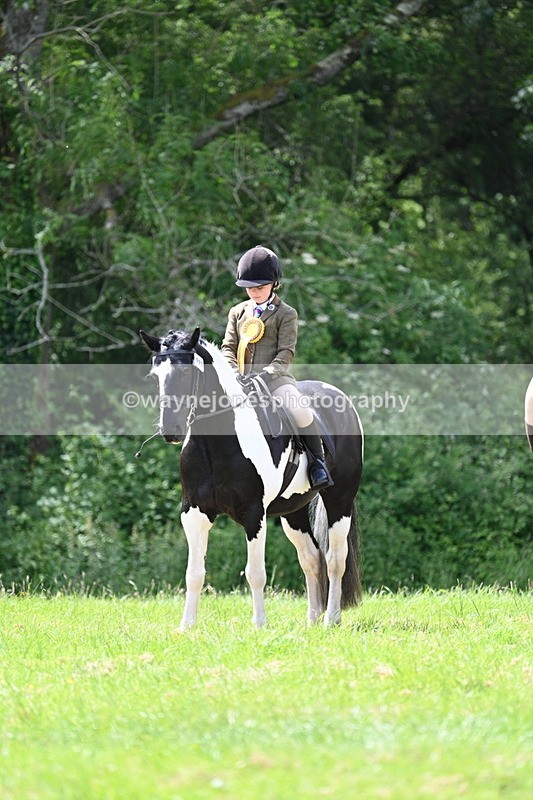 WJ7_2697 - Class 12A Coloured Class