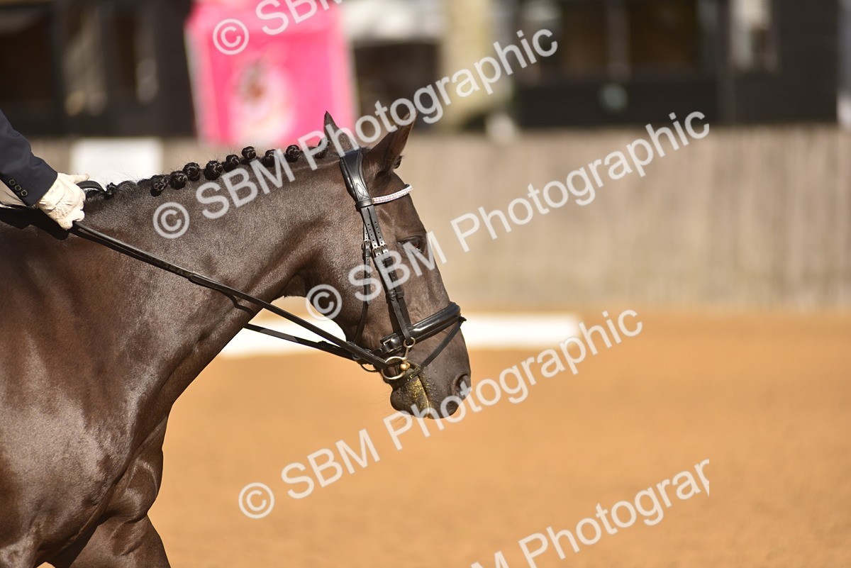 SBM_48892 - D22 - Junior Championship Intro 3