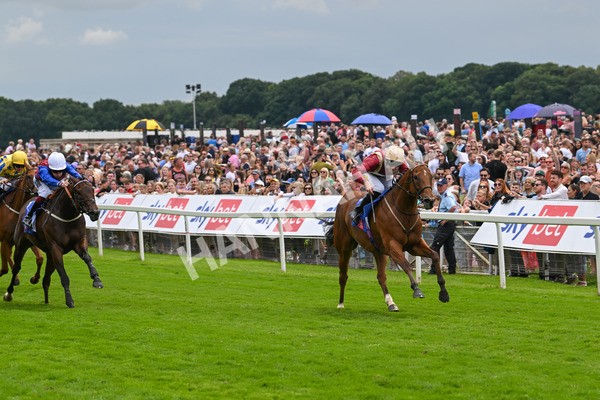 270724-Race 2-Rage Of Bamby-6803 - Race 2 2.40pm Sky Bet Dash Handicap